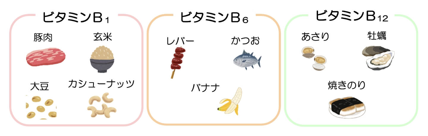 ビタミンB1 / ビタミンB6 / ビタミンB12