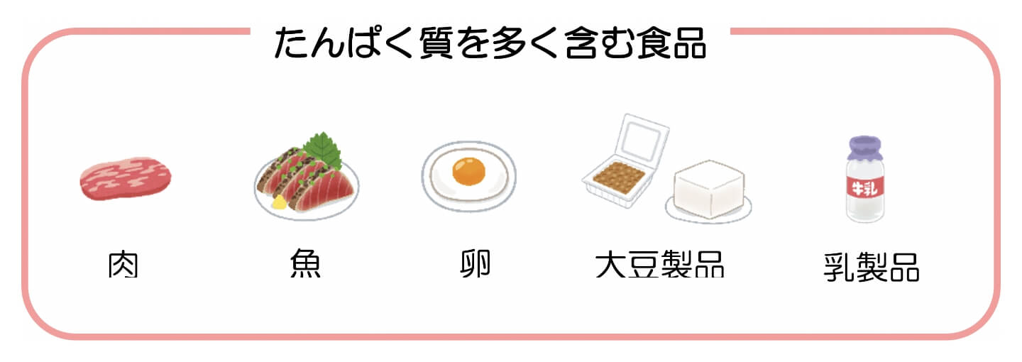 たんぱく質を多く含む食品