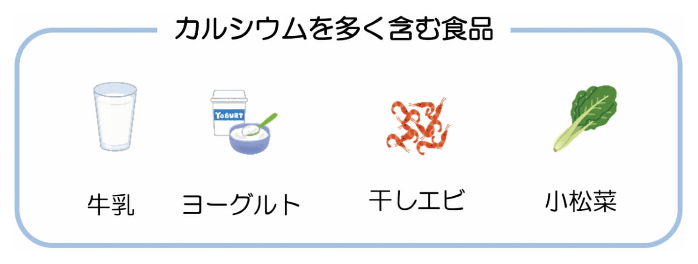 カルシウムを多く含む食品