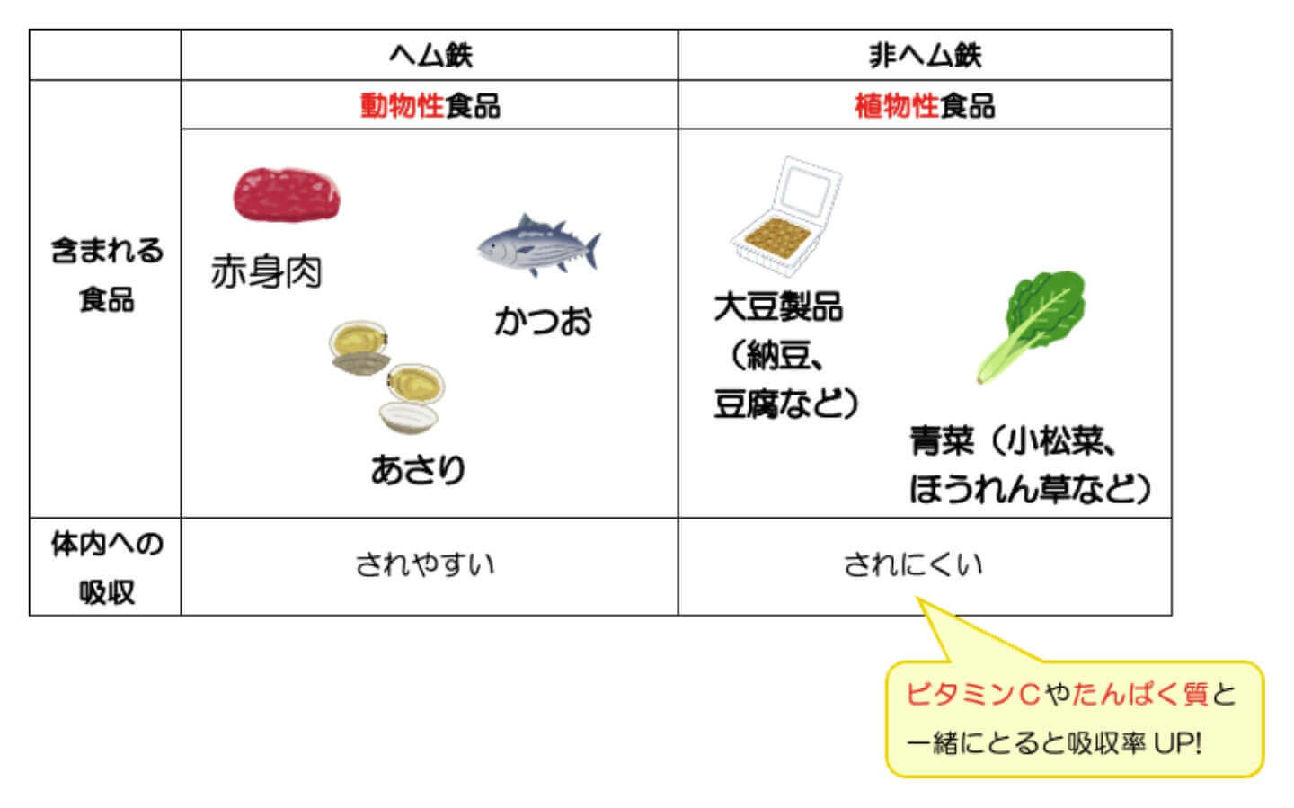 ヘム鉄 / 非ヘム鉄