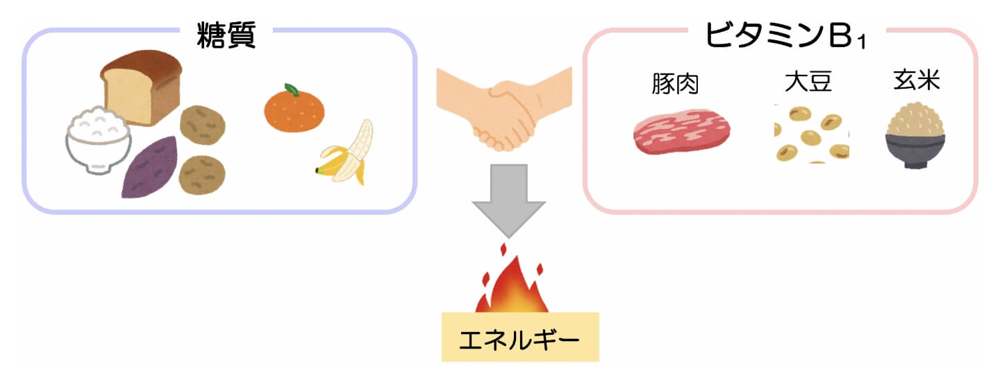 糖質 / ビタミンB1