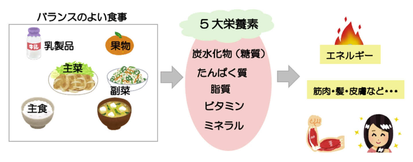 バランスの良い食事と５大栄養素